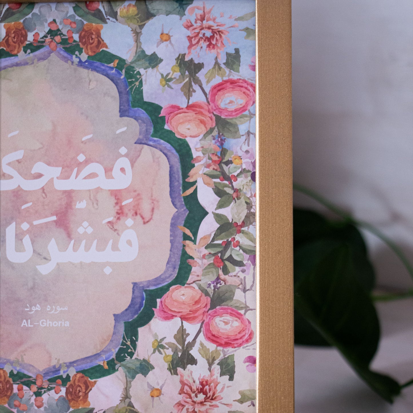 Frame فضحكت فبشرناها