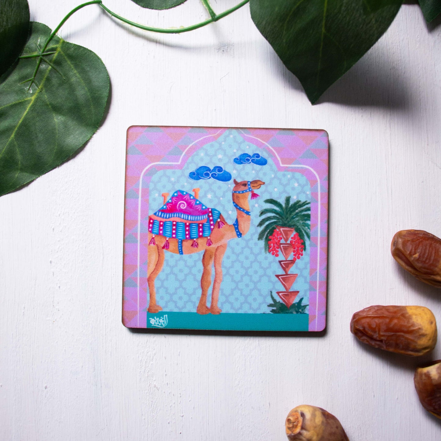 Camel Coasters